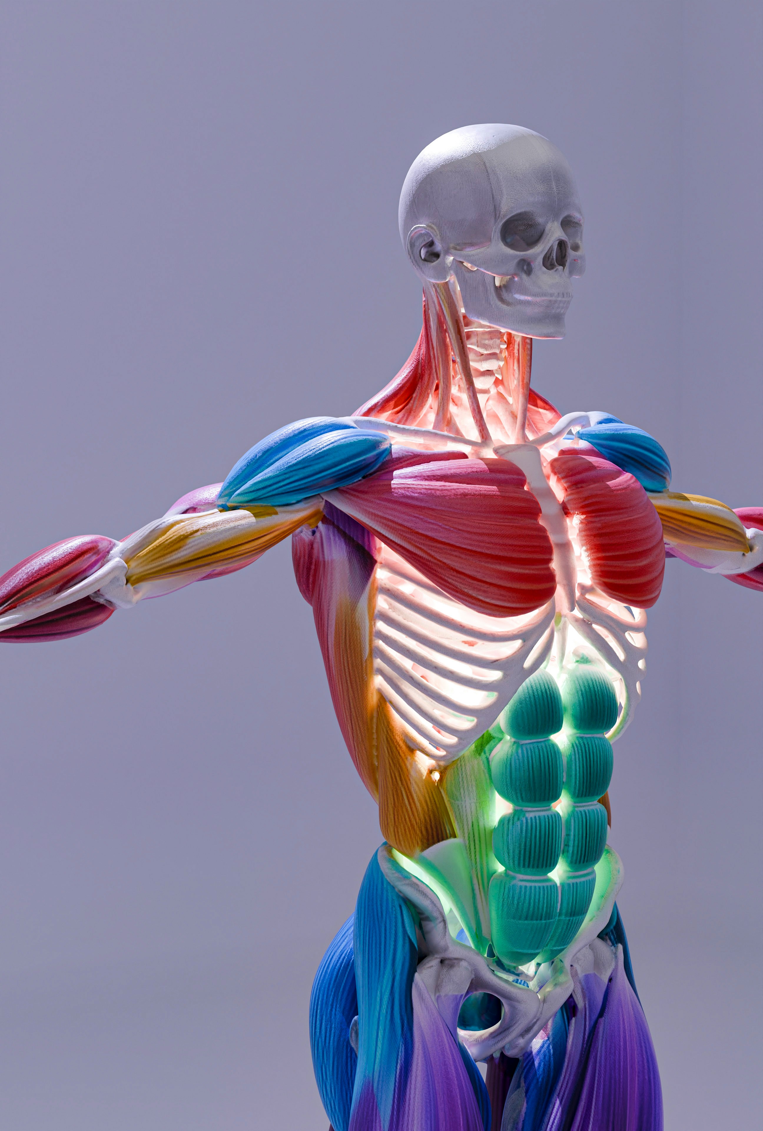 The Blueprint for Sustainable Abdominal Fat Loss: Science vs. Myths