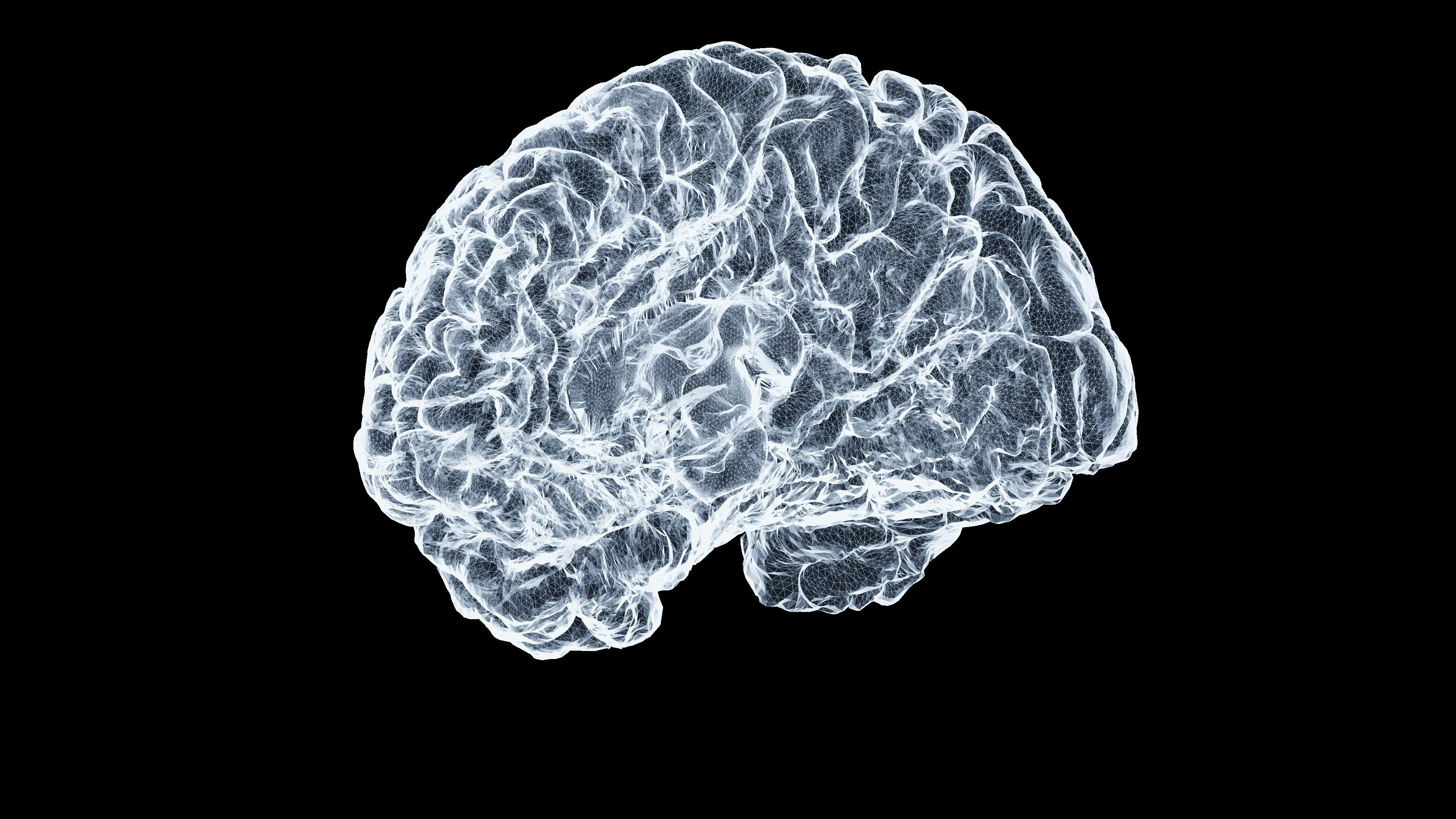 Beyond the Workout: How Mind–Body Integration Is Redefining Fitness and Health